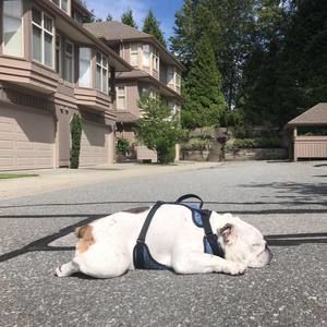 Meet your Posher, Steph